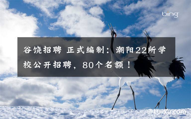 谷饶招聘 正式编制：潮阳22所学校公开招聘，80个名额！