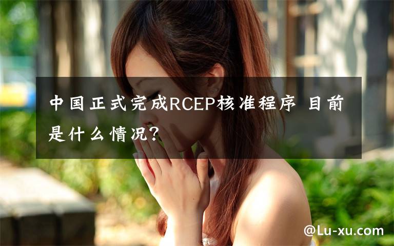 中国正式完成RCEP核准程序 目前是什么情况？