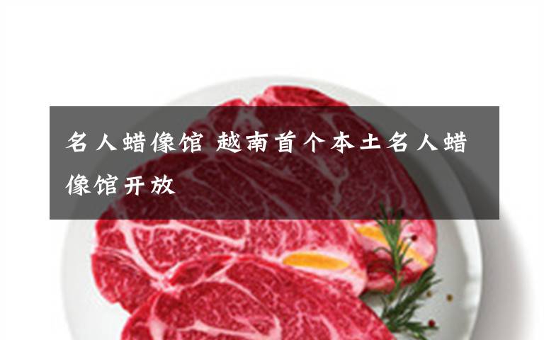 名人蜡像馆 越南首个本土名人蜡像馆开放文章配图