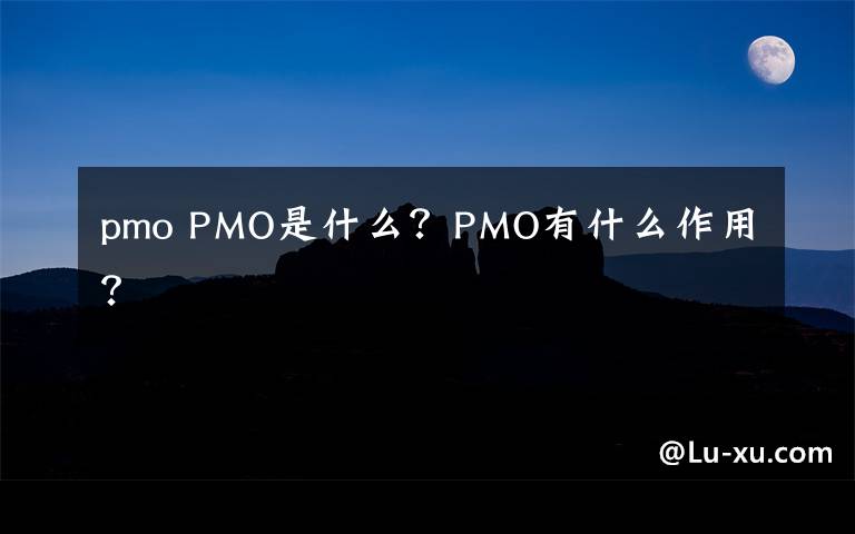 pmo PMO是什么？PMO有什么作用？