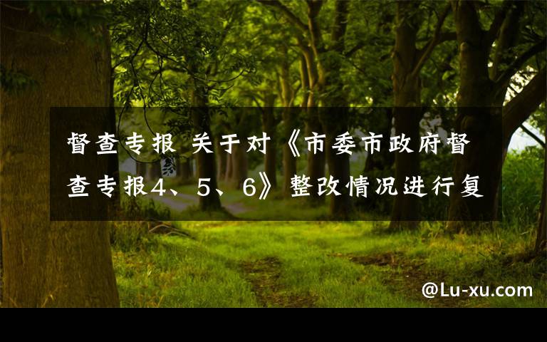 督查专报 关于对《市委市政府督查专报4、5、6》整改情况进行复查的报告