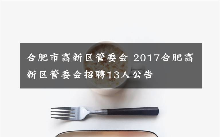 合肥市高新区管委会 2017合肥高新区管委会招聘13人公告