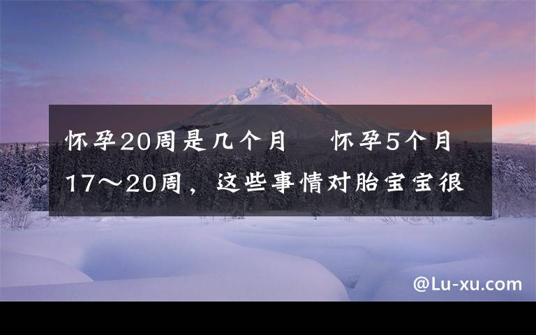 怀孕20周是几个月 ​怀孕5个月17～20周，这些事情对胎宝宝很重要