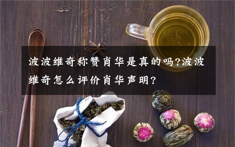 波波维奇称赞肖华是真的吗?波波维奇怎么评价肖华声明?