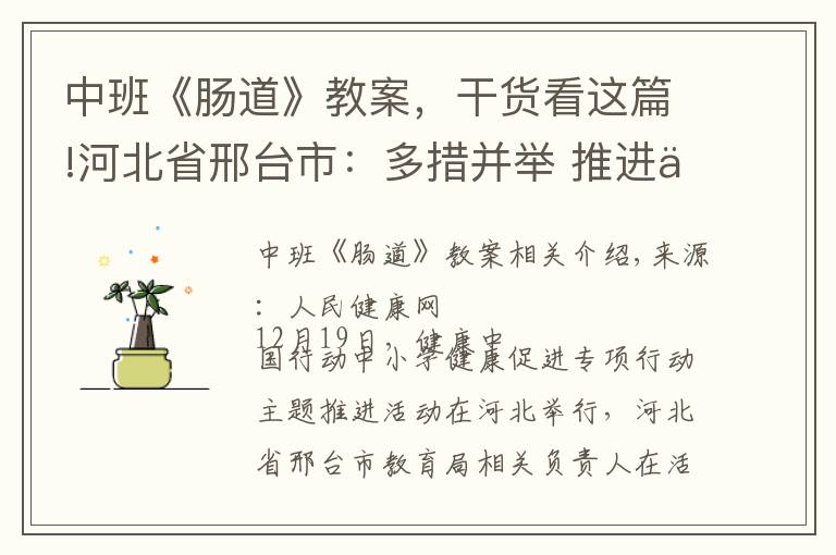 中班《肠道》教案，干货看这篇!河北省邢台市：多措并举 推进中小学健康促进行动