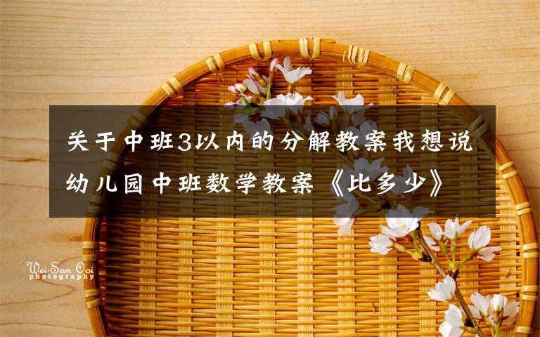 关于中班3以内的分解教案我想说幼儿园中班数学教案《比多少》含反思