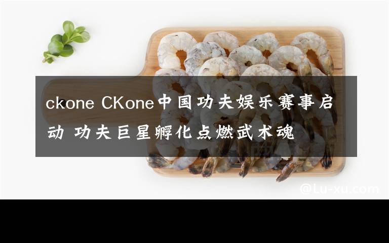 ckone CKone中国功夫娱乐赛事启动 功夫巨星孵化点燃武术魂