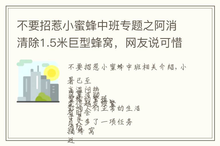 不要招惹小蜜蜂中班专题之阿消清除1.5米巨型蜂窝，网友说可惜了