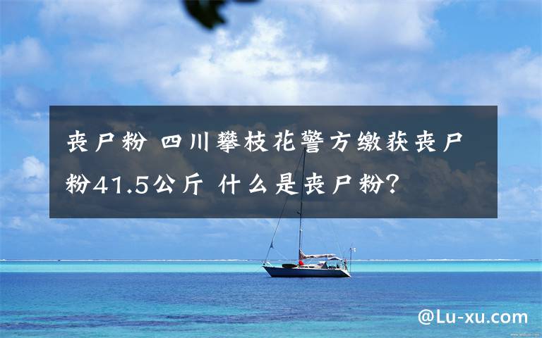 丧尸粉 四川攀枝花警方缴获丧尸粉41.5公斤 什么是丧尸粉？