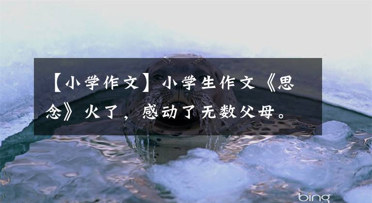 【小学作文】小学生作文《思念》火了，感动了无数父母。你只能爱我五六十年，但我可以爱你一辈子。