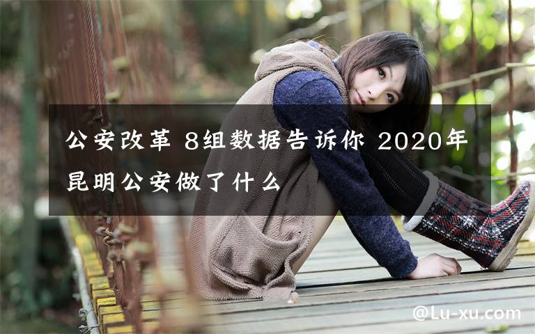 公安改革 8组数据告诉你 2020年昆明公安做了什么