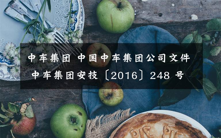 中车集团 中国中车集团公司文件 中车集团安技〔2016〕248 号