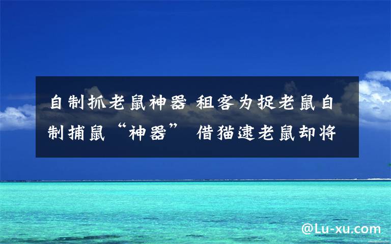 自制抓老鼠神器 租客为捉老鼠自制捕鼠“神器” 借猫逮老鼠却将猫吓到