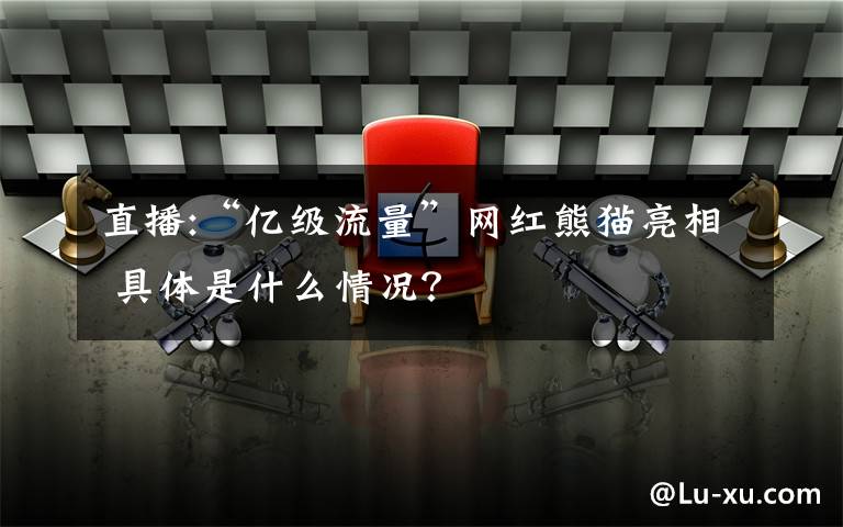 直播:“亿级流量”网红熊猫亮相 具体是什么情况？