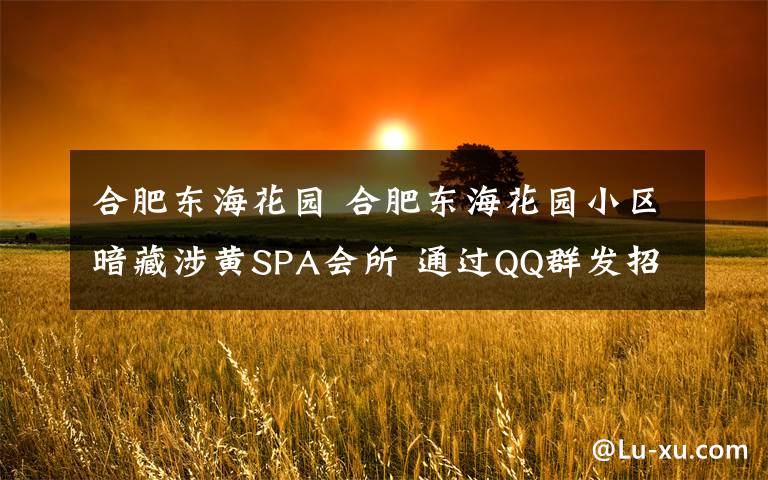 合肥东海花园 合肥东海花园小区暗藏涉黄SPA会所 通过QQ群发招嫖信息