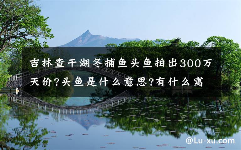 吉林查干湖冬捕鱼头鱼拍出300万天价?头鱼是什么意思?有什么寓意