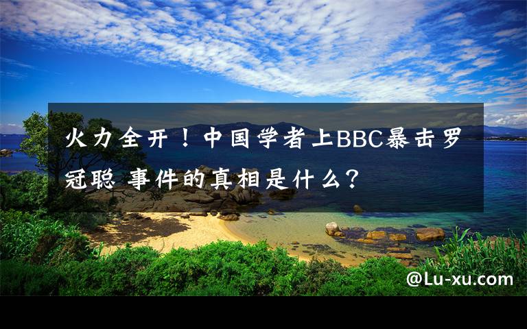 火力全开！中国学者上BBC暴击罗冠聪 事件的真相是什么？