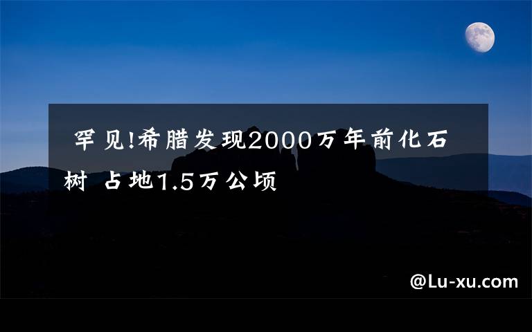  罕见!希腊发现2000万年前化石树 占地1.5万公顷