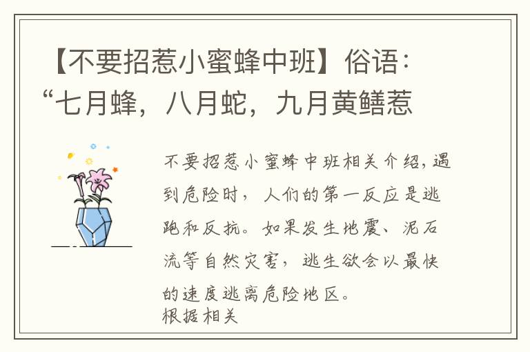 【不要招惹小蜜蜂中班】俗语：“七月蜂，八月蛇，九月黄鳝惹不得”，啥意思？有道理吗？