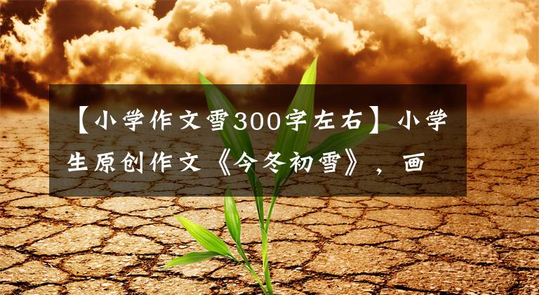 【小学作文雪300字左右】小学生原创作文《今冬初雪》，画面感强文章配图