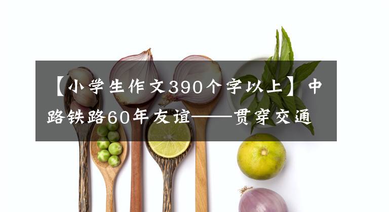 【小学生作文390个字以上】中路铁路60年友谊——贯穿交通动脉，延续了发展梦想。