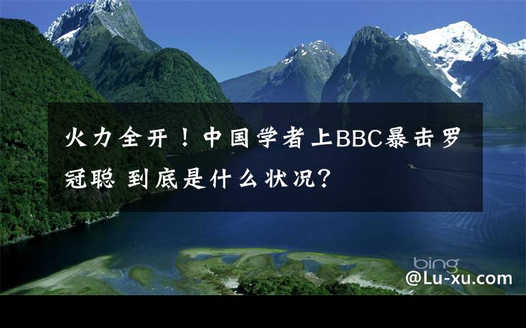 火力全开！中国学者上BBC暴击罗冠聪 到底是什么状况？