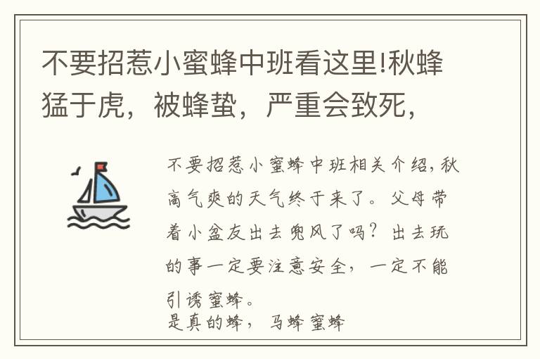 不要招惹小蜜蜂中班看这里!秋蜂猛于虎，被蜂蛰，严重会致死，学此篇，领会可救命