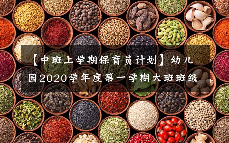 【中班上学期保育员计划】幼儿园2020学年度第一学期大班班级工作计划