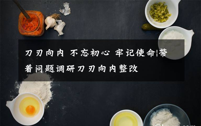 刀刃向内 不忘初心 牢记使命|带着问题调研刀刃向内整改