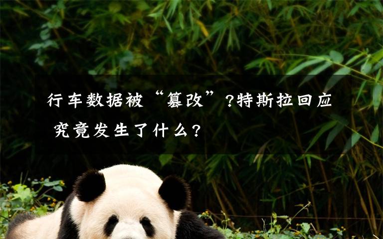 行车数据被“篡改”?特斯拉回应 究竟发生了什么?