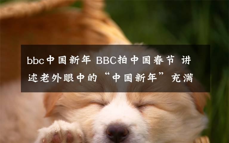 bbc中国新年 BBC拍中国春节 讲述老外眼中的“中国新年”充满人情味儿