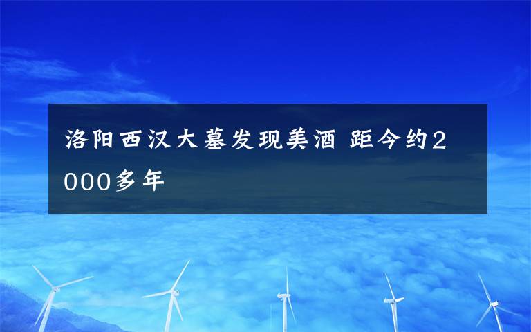 洛阳西汉大墓发现美酒 距今约2000多年