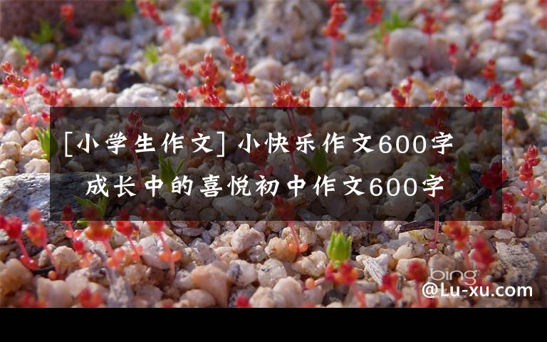 [小学生作文] 小快乐作文600字 成长中的喜悦初中作文600字