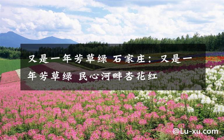 又是一年芳草绿 石家庄：又是一年芳草绿 民心河畔杏花红