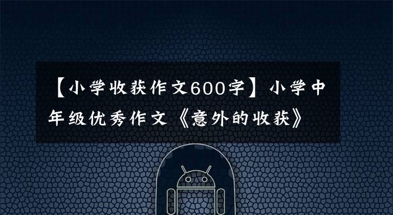 【小学收获作文600字】小学中年级优秀作文《意外的收获》作文两篇