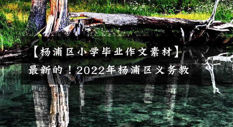 【杨浦区小学毕业作文素材】最新的！2022年杨浦区义务教育阶段学校入学实施方案公布