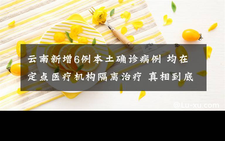 云南新增6例本土确诊病例 均在定点医疗机构隔离治疗 真相到底是怎样的？