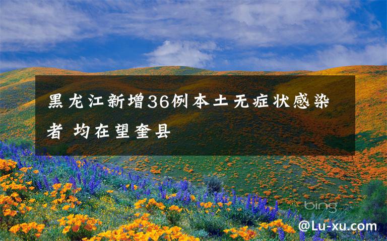 黑龙江新增36例本土无症状感染者 均在望奎县