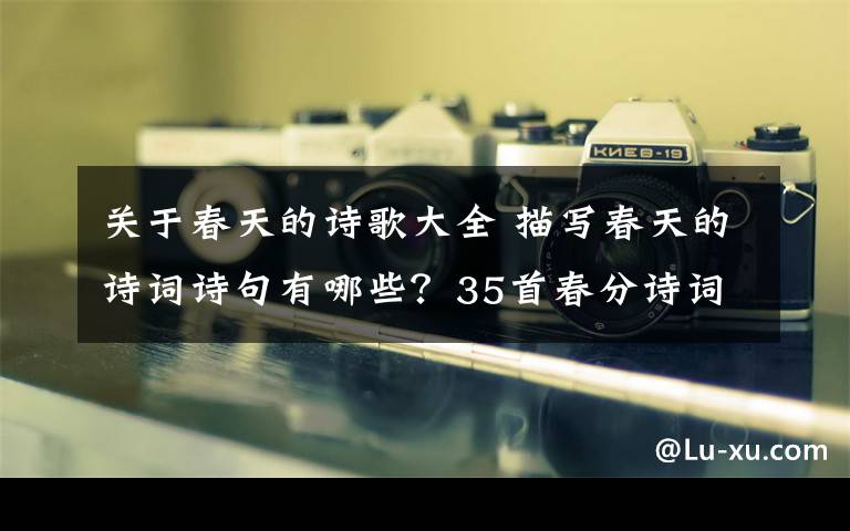 关于春天的诗歌大全 描写春天的诗词诗句有哪些？35首春分诗词大全附诗句赏析