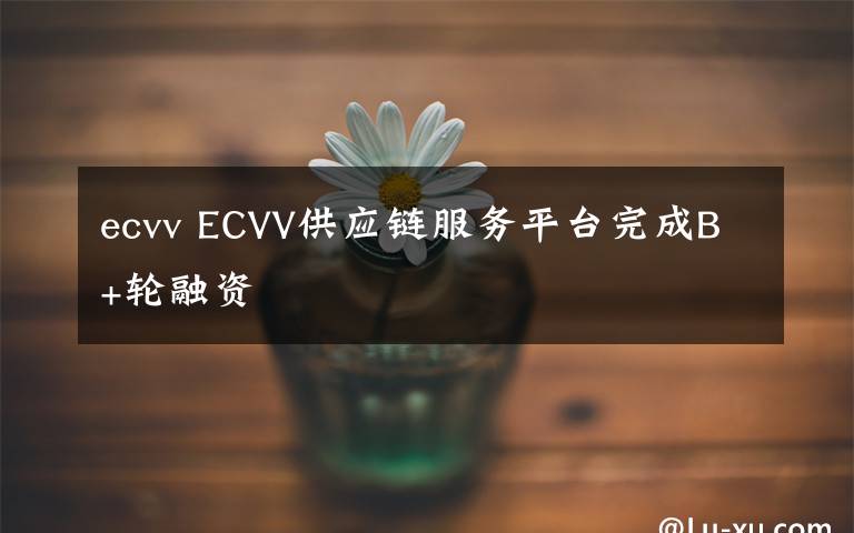 ecvv ECVV供应链服务平台完成B+轮融资