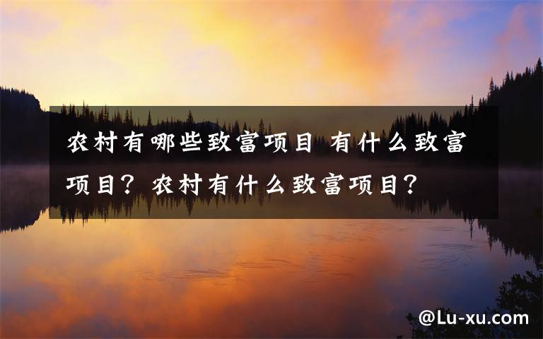 农村有哪些致富项目 有什么致富项目？农村有什么致富项目？