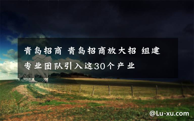 青岛招商 青岛招商放大招 组建专业团队引入这30个产业