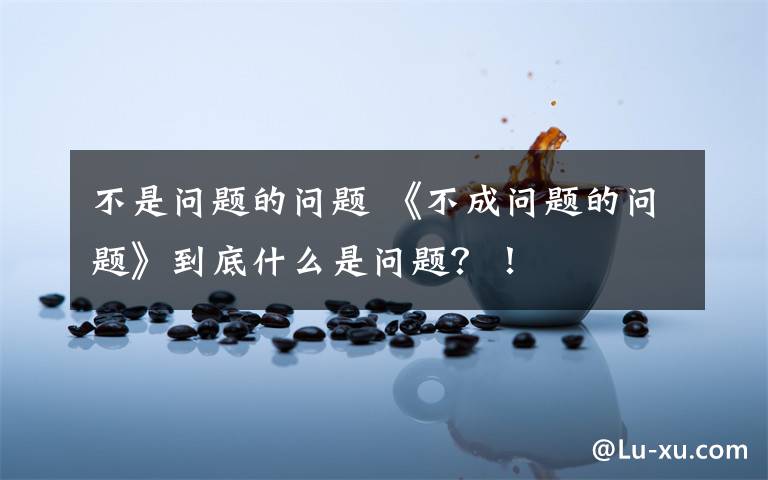 不是问题的问题 《不成问题的问题》到底什么是问题？！