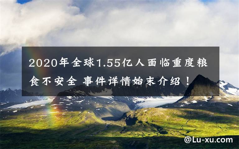 2020年全球1.55亿人面临重度粮食不安全 事件详情始末介绍！