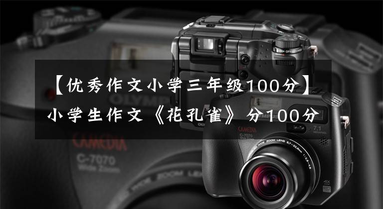 【优秀作文小学三年级100分】小学生作文《花孔雀》分100分，老师忙碌的安慰，网友：看你笑哭。