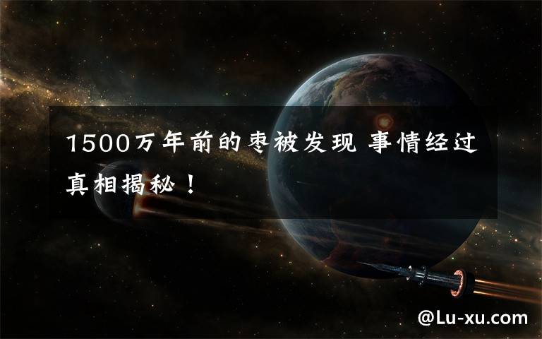 1500万年前的枣被发现 事情经过真相揭秘！