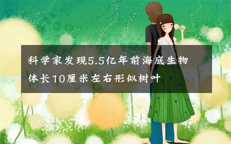 科学家发现5.5亿年前海底生物 体长10厘米左右形似树叶