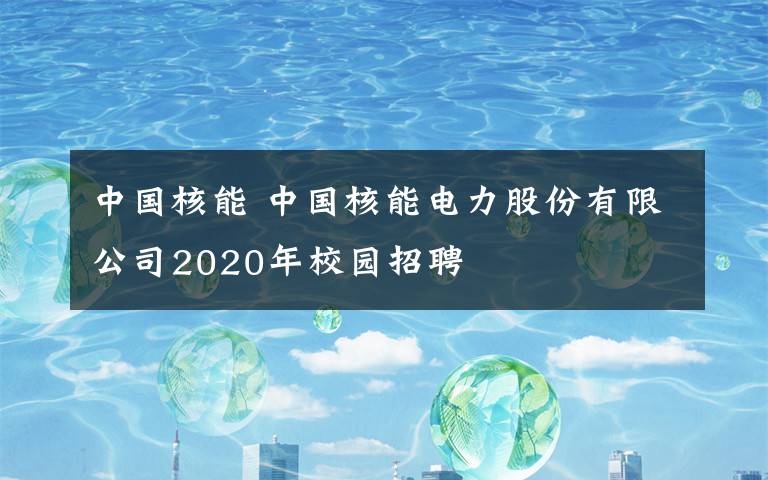 中国核能 中国核能电力股份有限公司2020年校园招聘