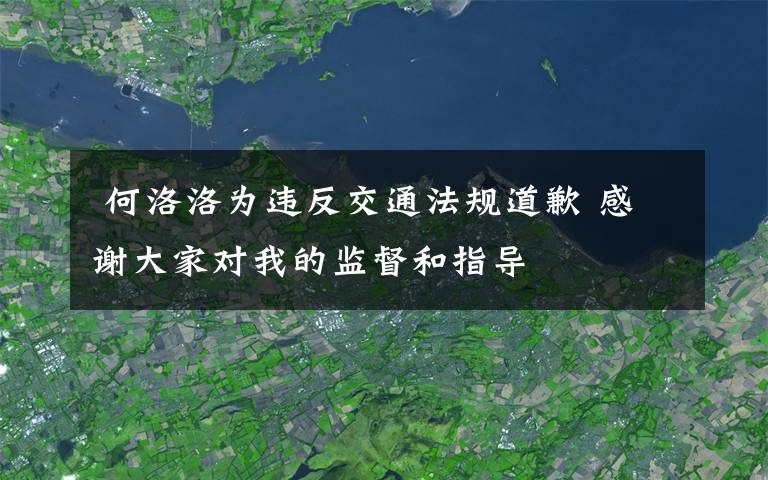  何洛洛为违反交通法规道歉 感谢大家对我的监督和指导