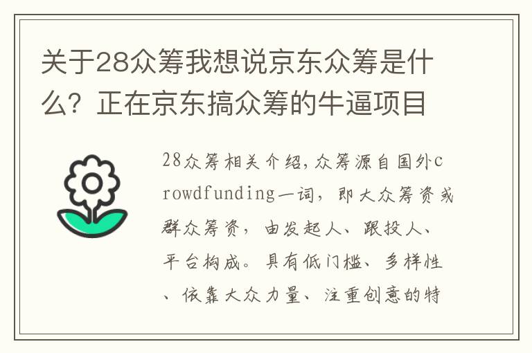 关于28众筹我想说京东众筹是什么？正在京东搞众筹的牛逼项目！